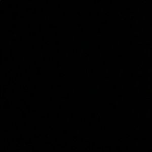 Meet your Posher, Kam